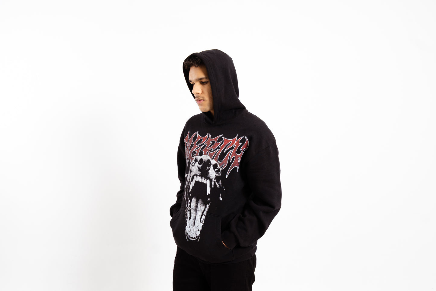Beware of Dog Hoodie