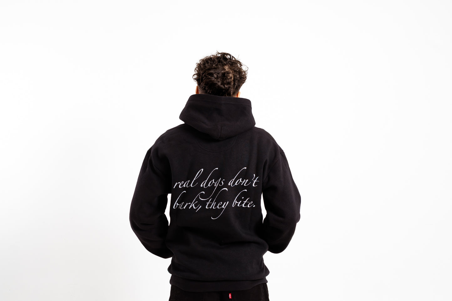 Beware of Dog Hoodie
